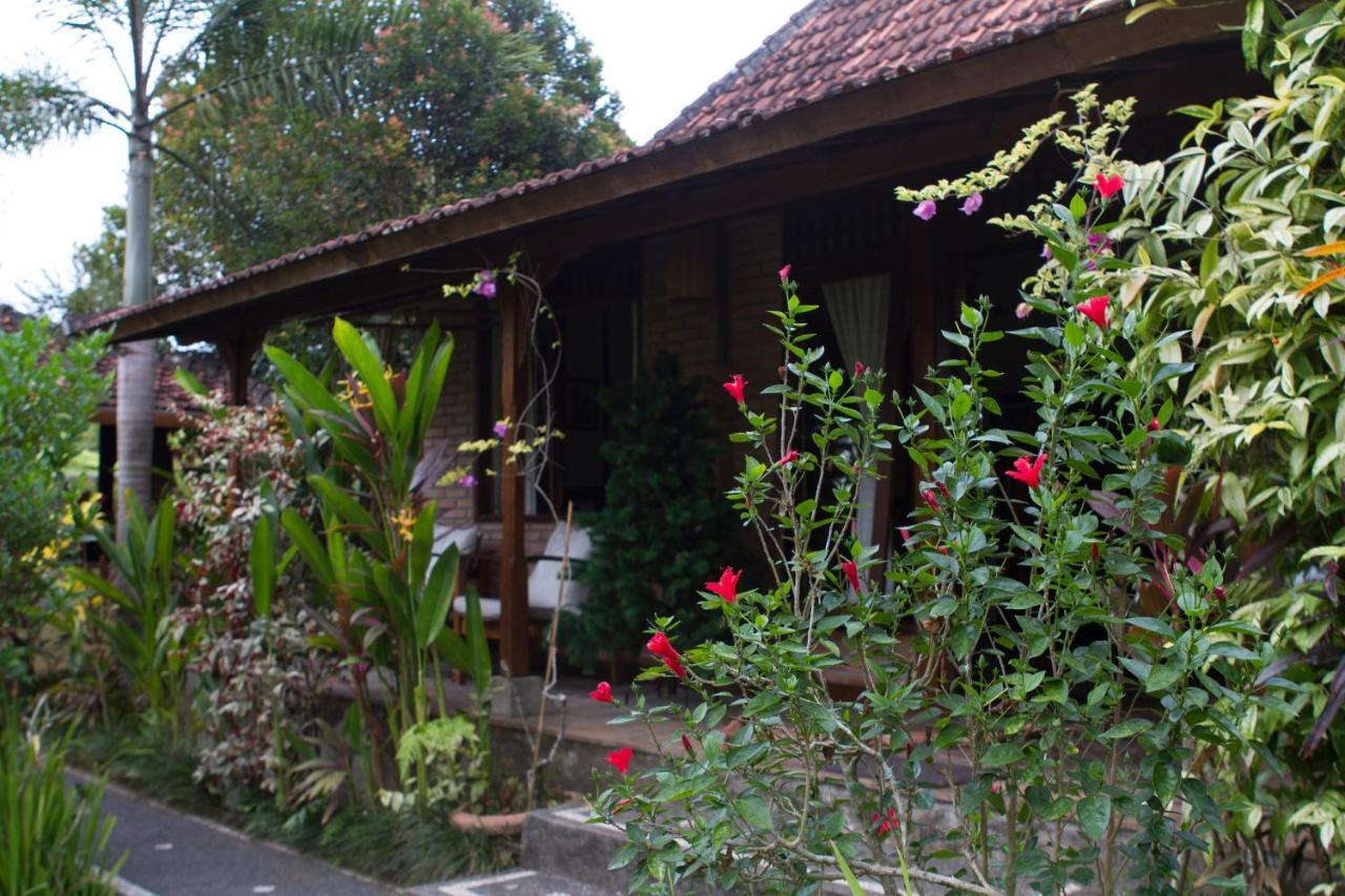 Rumah Sungai Villa Ubud Exterior foto