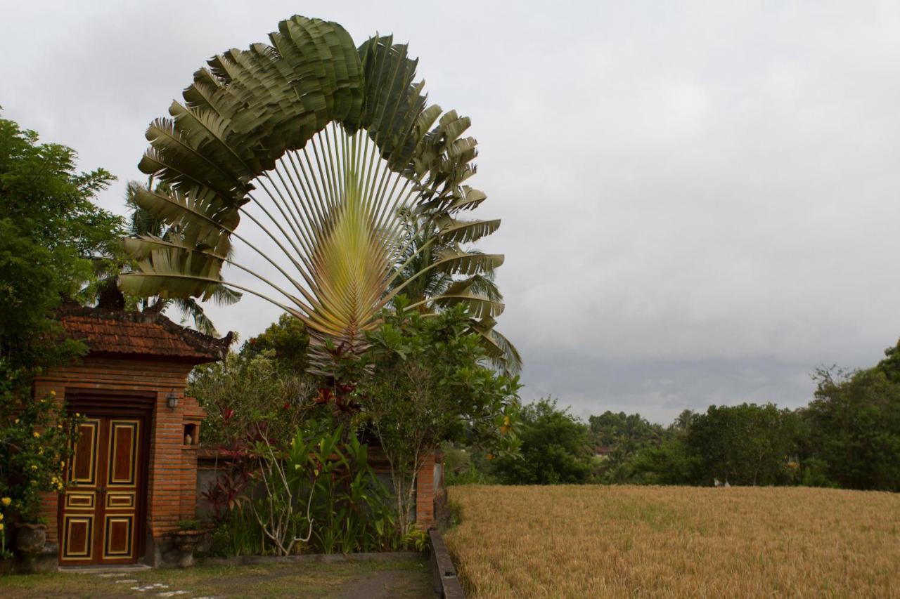 Rumah Sungai Villa Ubud Exterior foto