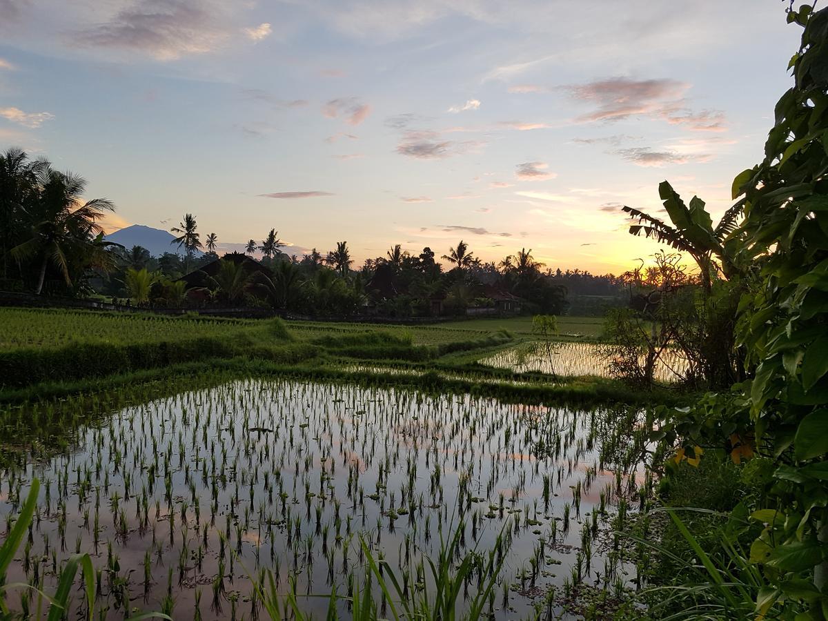Rumah Sungai Villa Ubud Exterior foto